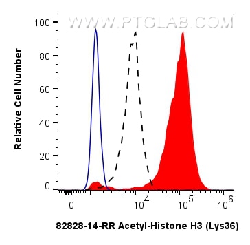 Flow cytometry (FC) experiment of HeLa cells using Acetyl-Histone H3 (Lys36) Recombinant monoclonal a (82828-14-RR)