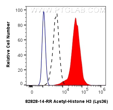 Flow cytometry (FC) experiment of NIH/3T3 cells using Acetyl-Histone H3 (Lys36) Recombinant monoclonal a (82828-14-RR)