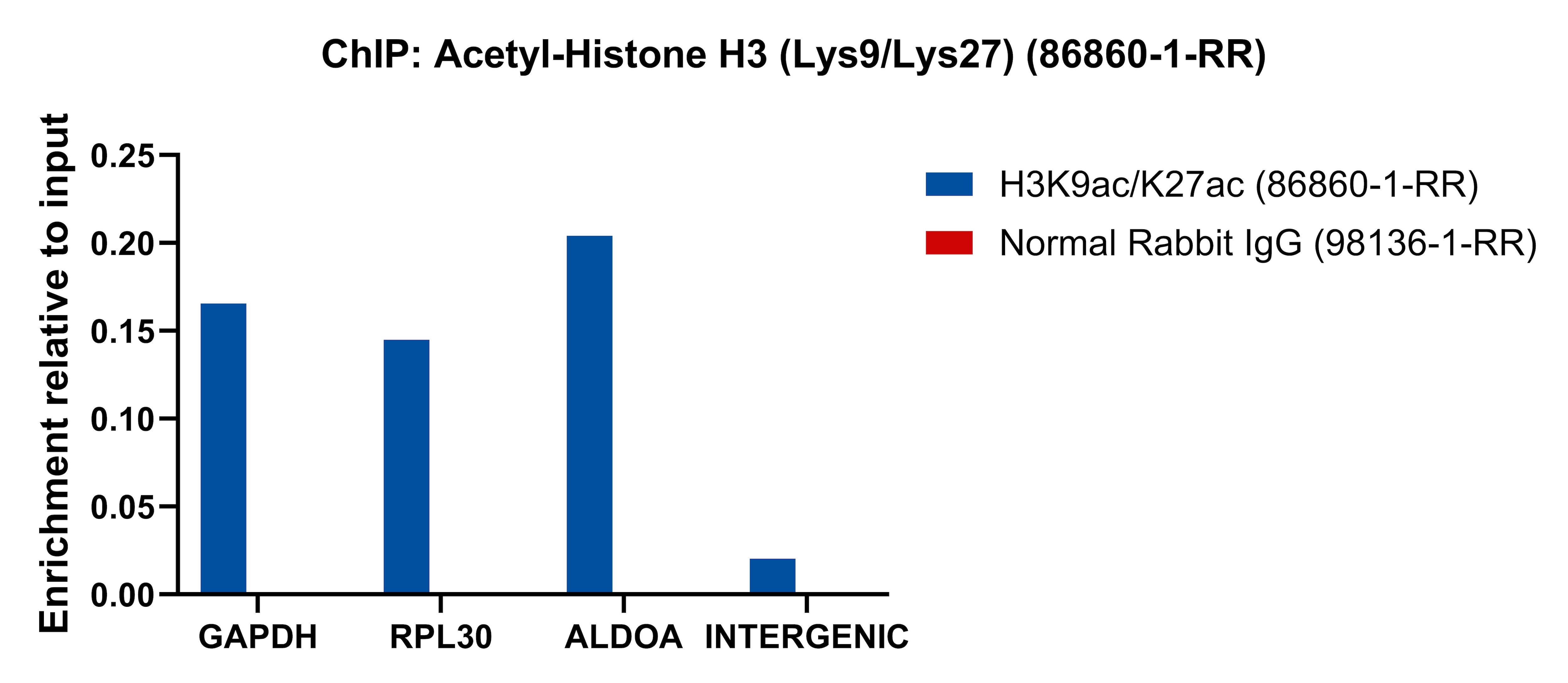 ChIP experiment of HeLa using 86860-1-RR ChIP experiment of HeLa cells using Acetyl-Histone H3 (Lys9/Lys27) Recombinant monoclo (86860-1-RR)