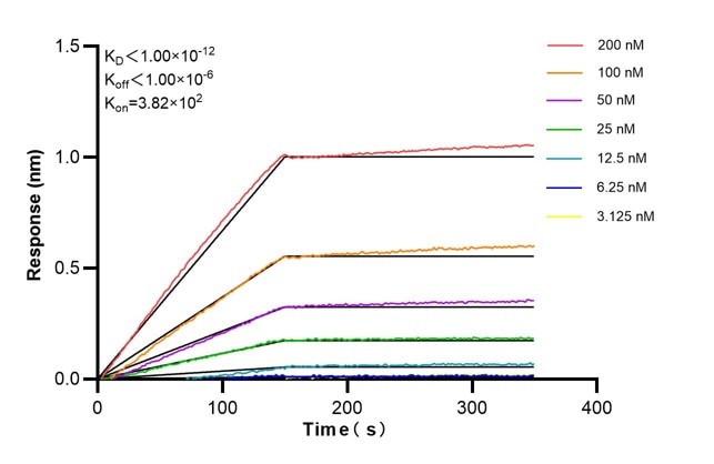 Biolayer interferometry (BLl) kinetic assay of 60190-1-Ig against Human GFAP was performed. The affinity constant is below 1 pM. Affinity and Kinetic Characterization of 60190-1-Ig
