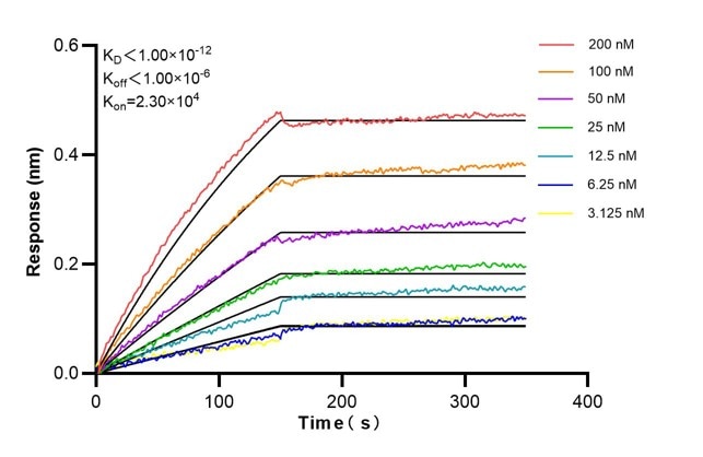 Affinity and Kinetic Characterization of 60190-2-PBS