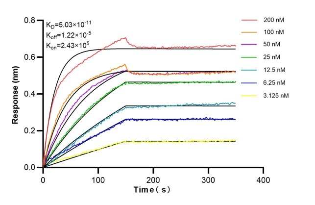 Affinity and Kinetic Characterization of 60190-3-PBS