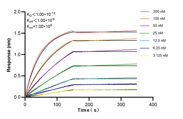 Affinity and Kinetic Characterization of 60190-4-PBS