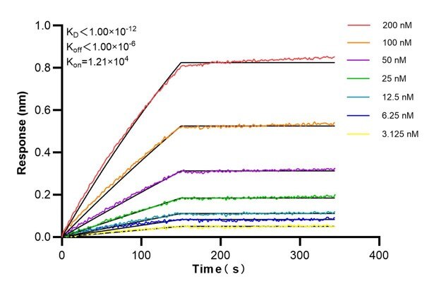 Affinity and Kinetic Characterization of 60206-4-PBS