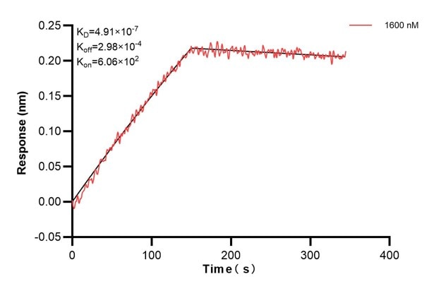 Affinity and Kinetic Characterization of 60250-4-PBS