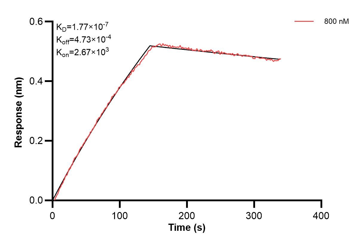 Affinity and Kinetic Characterization of 60287-4-PBS