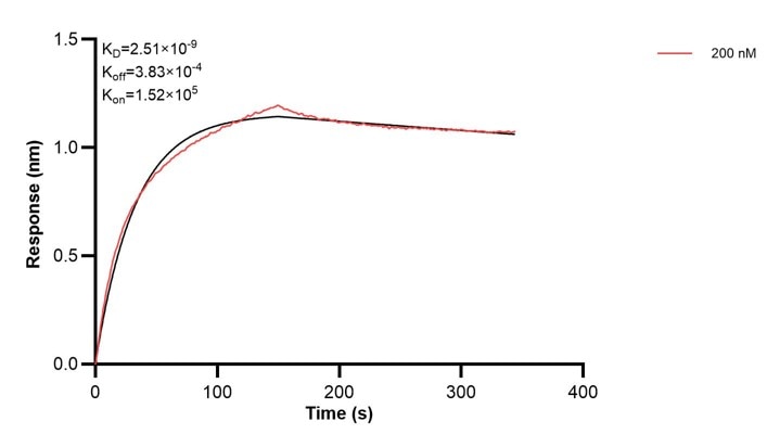 Affinity and Kinetic Characterization of 60406-2-PBS Affinity and Kinetic Characterization of 60406-2-PBS