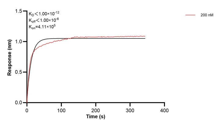 Affinity and Kinetic Characterization of 60406-4-PBS Affinity and Kinetic Characterization of 60406-4-PBS