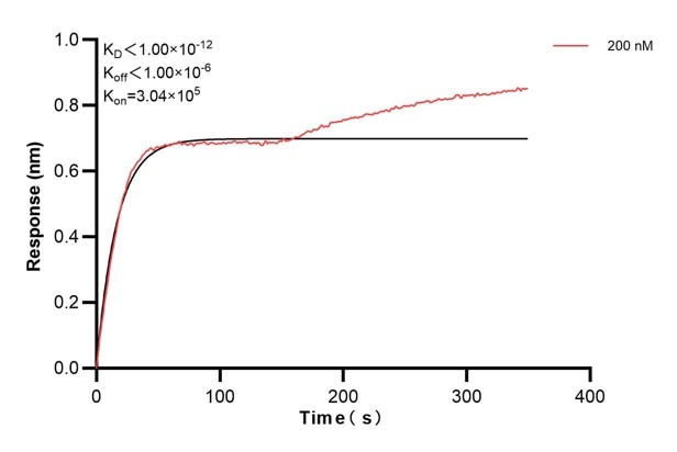 Affinity and Kinetic Characterization of 60408-4-PBS Affinity and Kinetic Characterization of 60408-4-PBS