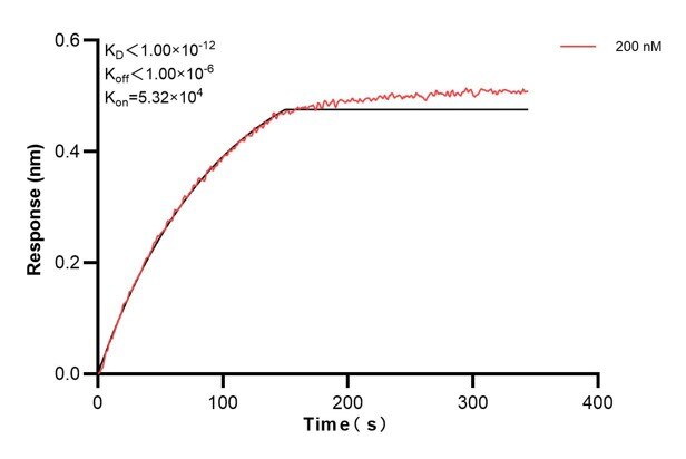 Affinity and Kinetic Characterization of 60415-2-PBS