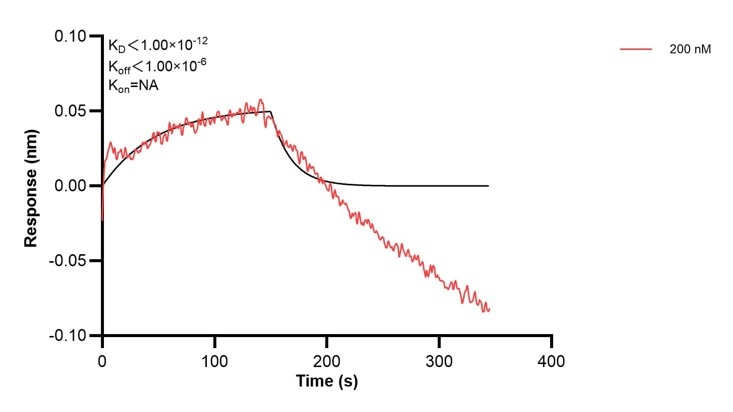 Affinity and Kinetic Characterization of 60418-1-PBS Affinity and Kinetic Characterization of 60418-1-PBS