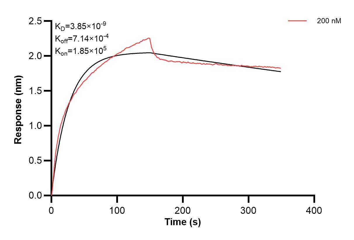 Affinity and Kinetic Characterization of 60422-2-PBS Affinity and Kinetic Characterization of 60422-2-PBS