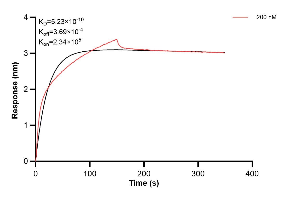 Affinity and Kinetic Characterization of 60422-3-PBS Affinity and Kinetic Characterization of 60422-3-PBS