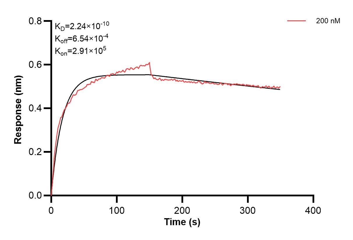 Affinity and Kinetic Characterization of 60422-4-PBS