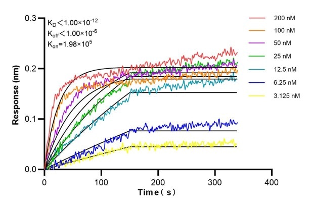 Affinity and Kinetic Characterization of 60435-2-Ig