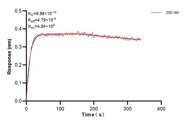 Affinity and Kinetic Characterization of 60436-1-PBS