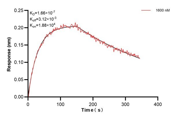 Affinity and Kinetic Characterization of 60436-4-PBS