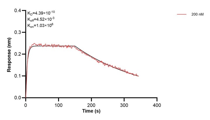Affinity and Kinetic Characterization of 60439-1-PBS Affinity and Kinetic Characterization of 60439-1-PBS