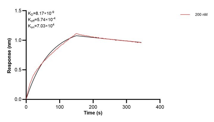 Affinity and Kinetic Characterization of 60439-2-PBS