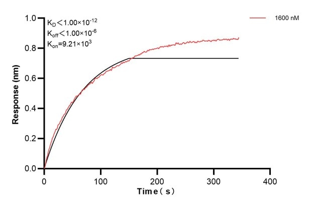 Affinity and Kinetic Characterization of 60451-5-PBS