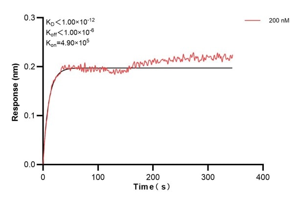 Affinity and Kinetic Characterization of 60452-1-PBS