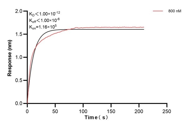 Affinity and Kinetic Characterization of 60452-2-PBS