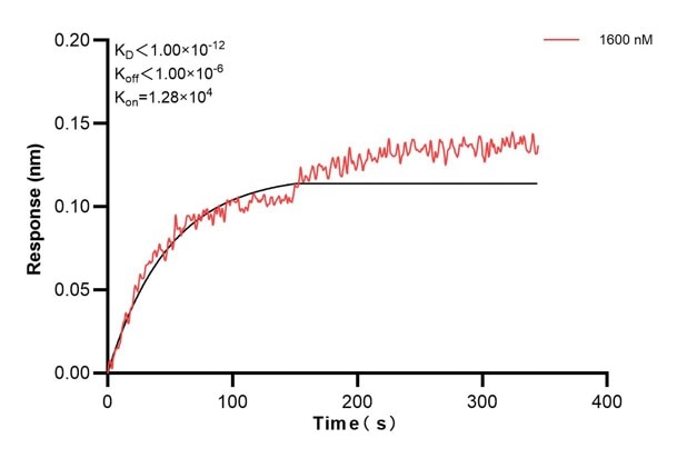 Affinity and Kinetic Characterization of 60452-3-PBS