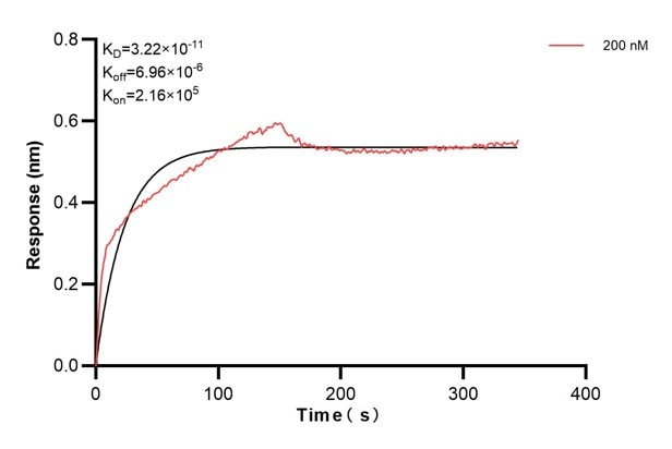 Affinity and Kinetic Characterization of 60455-1-PBS