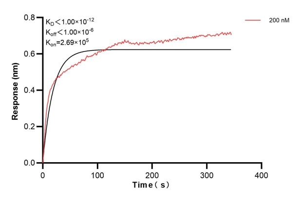 Affinity and Kinetic Characterization of 60455-2-PBS