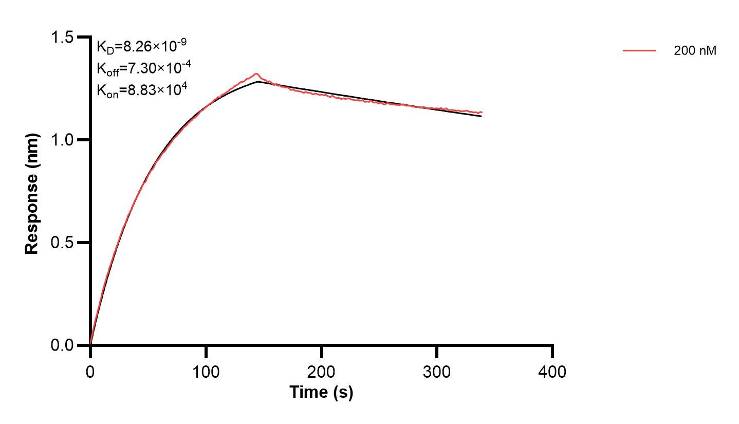 Affinity and Kinetic Characterization of 60458-1-PBS Affinity and Kinetic Characterization of 60458-1-PBS