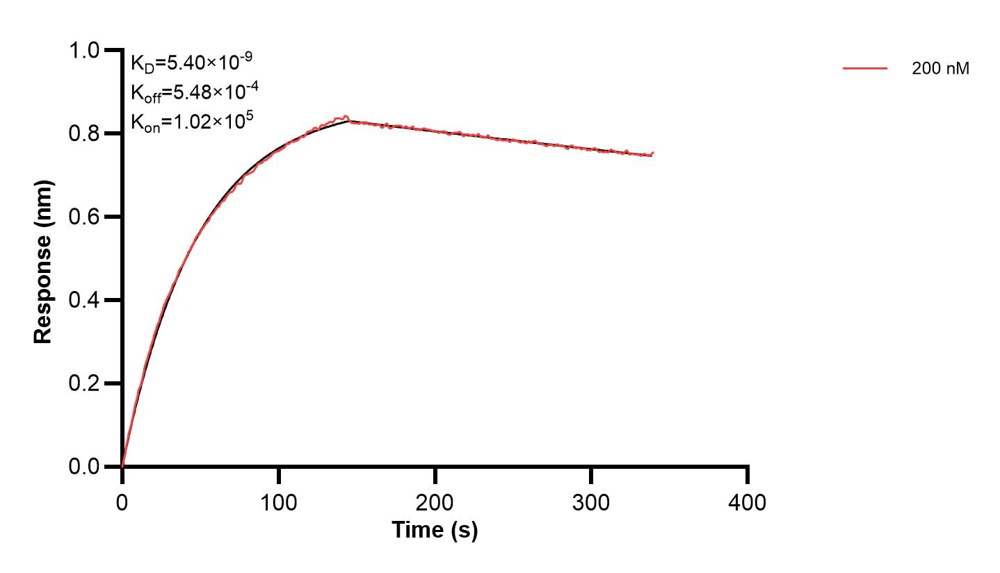 Affinity and Kinetic Characterization of 60458-2-PBS Affinity and Kinetic Characterization of 60458-2-PBS