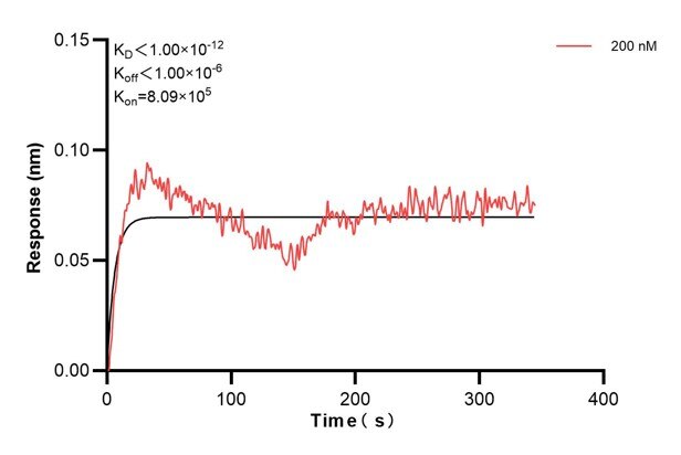 Biolayer interferometry (BLl) kinetic assay of 60459-4-Ig against Human CPN1 was performed. The affinity constant is below 1 pM. Affinity and Kinetic Characterization of 60459-4-PBS