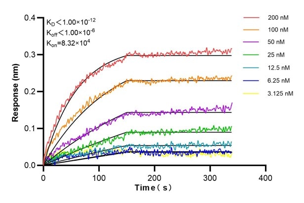 Affinity and Kinetic Characterization of 60462-2-PBS