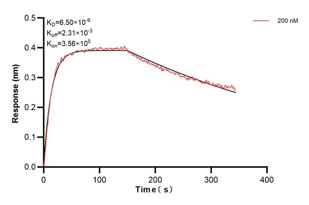 Affinity and Kinetic Characterization of 60463-2-PBS