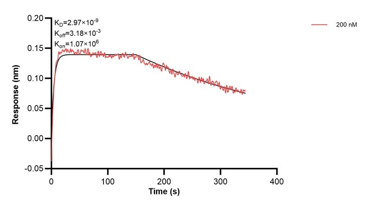 Affinity and Kinetic Characterization of 60475-1-PBS Affinity and Kinetic Characterization of 60475-1-PBS
