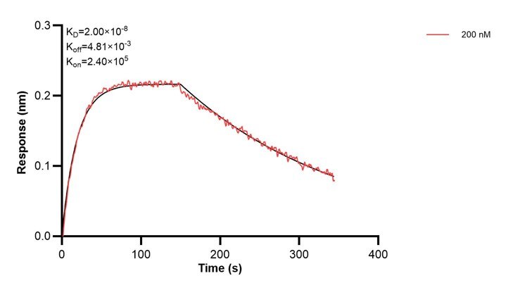 Affinity and Kinetic Characterization of 60475-4-PBS Affinity and Kinetic Characterization of 60475-4-PBS