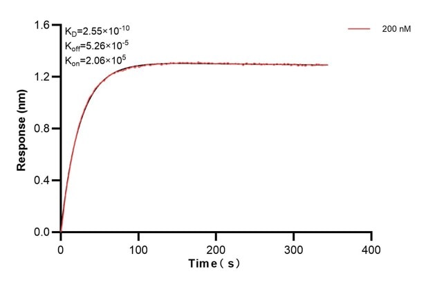 Affinity and Kinetic Characterization of 60511-2-PBS