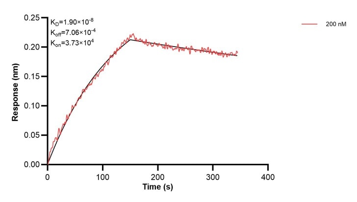 Affinity and Kinetic Characterization of 60513-3-PBS