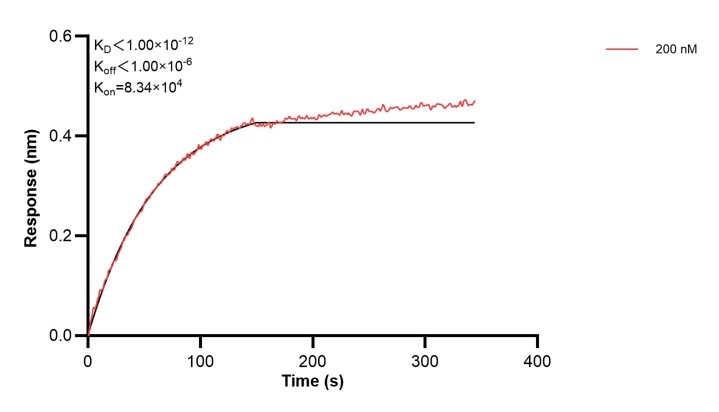 Affinity and Kinetic Characterization of 60514-1-PBS Affinity and Kinetic Characterization of 60514-1-PBS
