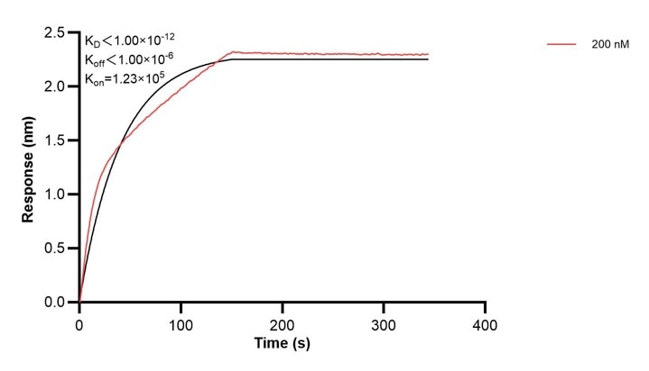 Affinity and Kinetic Characterization of 60519-2-PBS