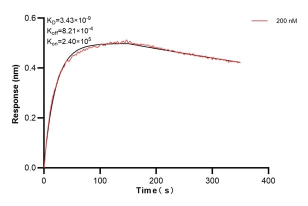 Affinity and Kinetic Characterization of 60539-1-PBS