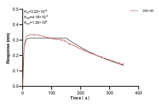 Affinity and Kinetic Characterization of 60539-2-PBS Affinity and Kinetic Characterization of 60539-2-PBS