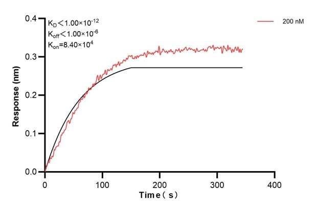 Affinity and Kinetic Characterization of 60545-2-PBS