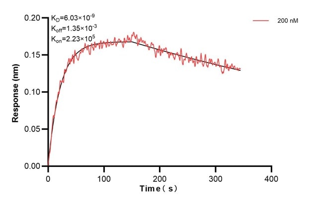 Affinity and Kinetic Characterization of 60545-4-PBS