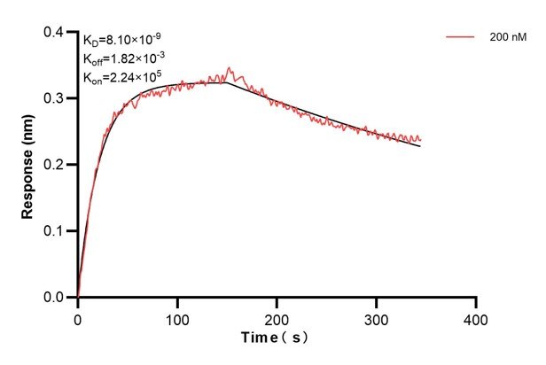 Affinity and Kinetic Characterization of 60545-6-PBS
