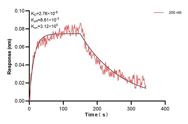 Affinity and Kinetic Characterization of 60545-7-PBS