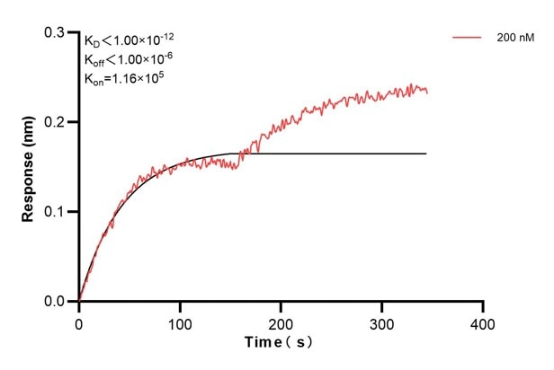 Affinity and Kinetic Characterization of 60553-1-PBS