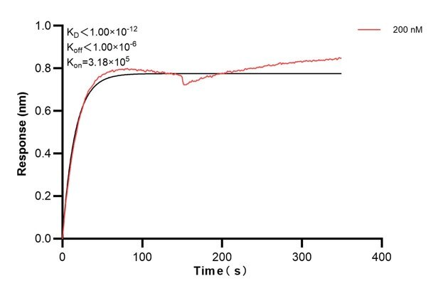 Affinity and Kinetic Characterization of 60557-1-PBS