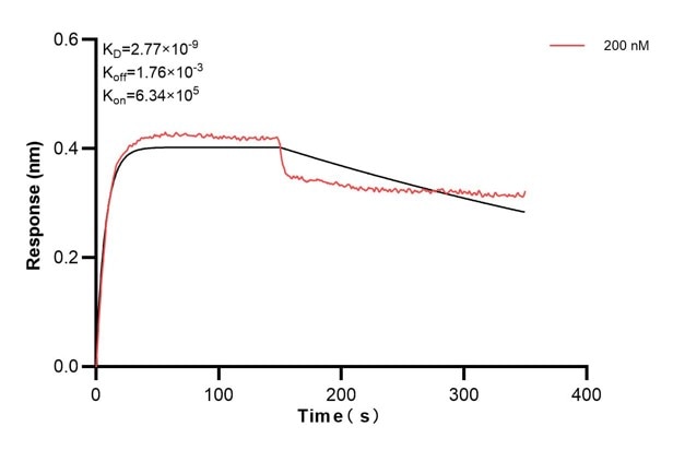 Affinity and Kinetic Characterization of 60557-2-PBS Affinity and Kinetic Characterization of 60557-2-PBS