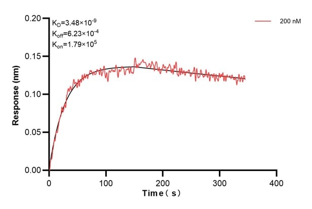 Affinity and Kinetic Characterization of 60558-2-PBS